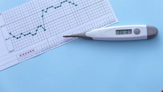 如何準確預測排卵日提高受孕機率?