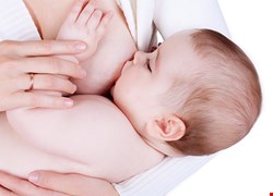 「天糧」母乳支持團體聚會 主題：職場哺乳