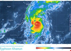 颱風天就醫公告