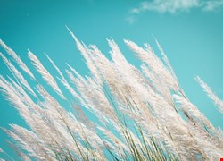 
中醫談脾胃保健的重要性 2014-04