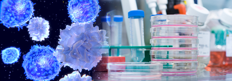Biomedical Technology R&D Center | Our Speciality - China Medical University Hospitalno 1img