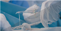 Surgery Sections, Clinical Services