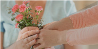 Hospice Palliative Care