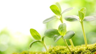 Precautions for Post-Invasive Treatment of Department of Pain Management 疼痛科侵入式治療後注意事項