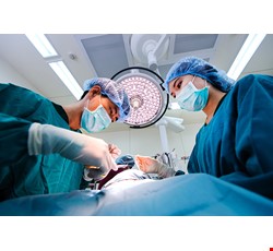 Thoracoscopic Surgery for Spontaneous Pneumothorax 自發性氣胸胸腔鏡手術說明