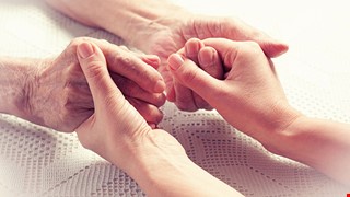 Organ Donation Process 器官捐贈流程