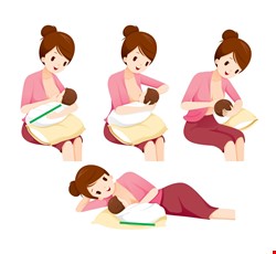 Treatment for Postpartum Breast Fullness and Breast Engorgement 產後脹奶及乳房腫脹的處理
