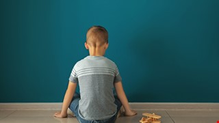 Autism Spectrum Disorder, ASD 自閉症類群障礙