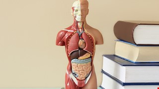 Chinese medicine-- prevention and healthcare of liver cirrhosis 臌脹（肝硬化）的預防與保健