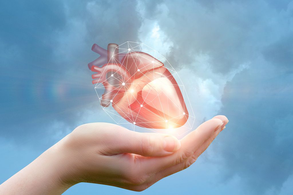 心血管尖端醫療服務