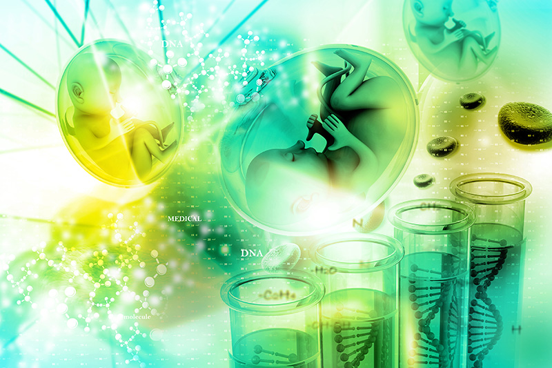 提升不孕夫妻圓夢的機會 人工輔助孵化術