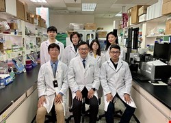 減少糖分攝取可以預防與改善氣喘～中國醫藥大學中醫藥研究成果躍上國際期刊《免疫學》封面