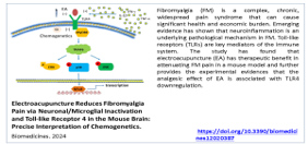 Electroacupuncture Reduces Fibromyalgia Pain via Neuronal/Microglial Inactivation and Toll-like Receptor 4 in the Mouse Brain: Precise Interpretation of Chemogenetics img