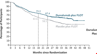 Perioperative Durvalumab in Gastric and Gastroesophageal Junction Cancer