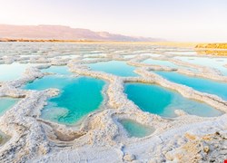  陳維恭 定期健檢 防心肌梗塞