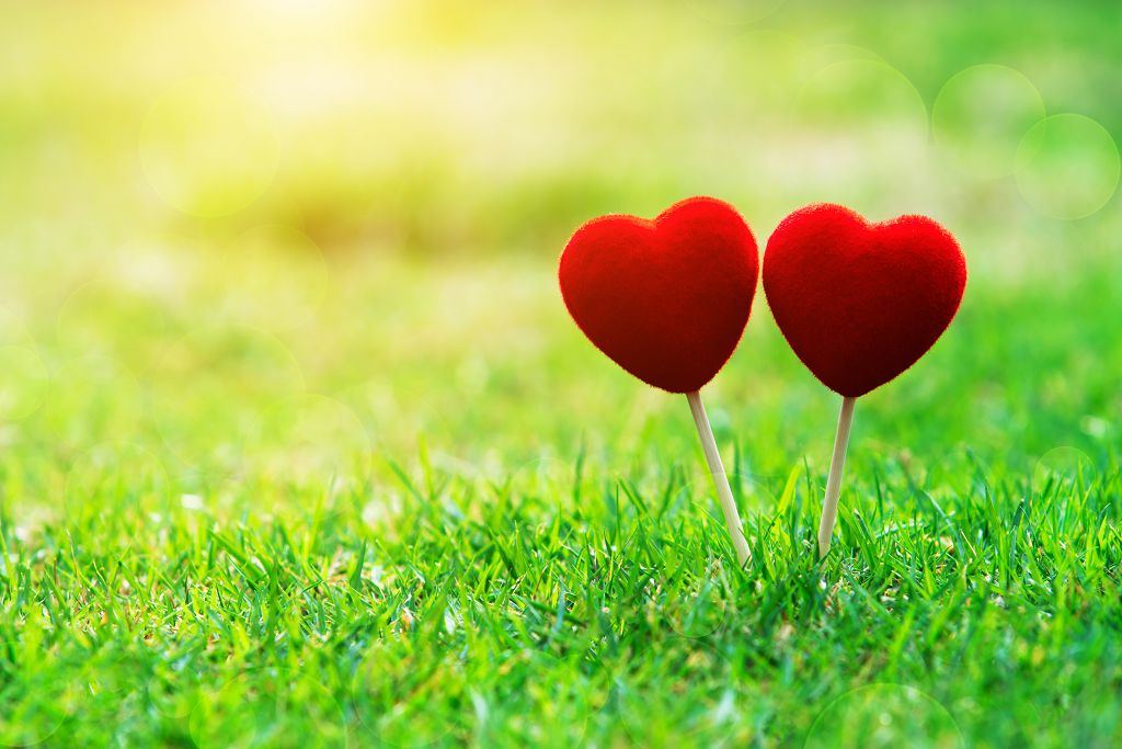  睡眠呼吸中止患者罹癌率 2.5 倍